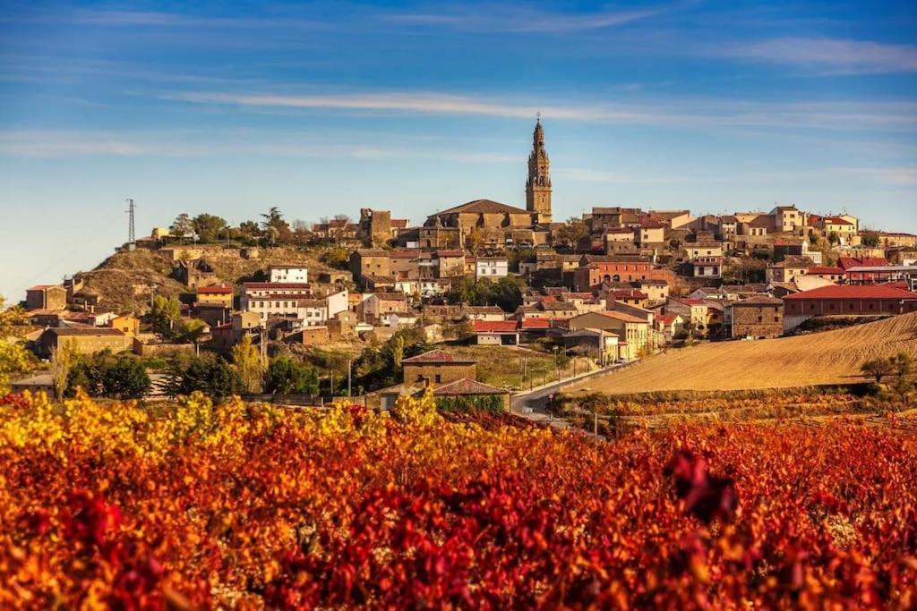 Willa Chalet Entero En La Rioja Briones Zewnętrze zdjęcie